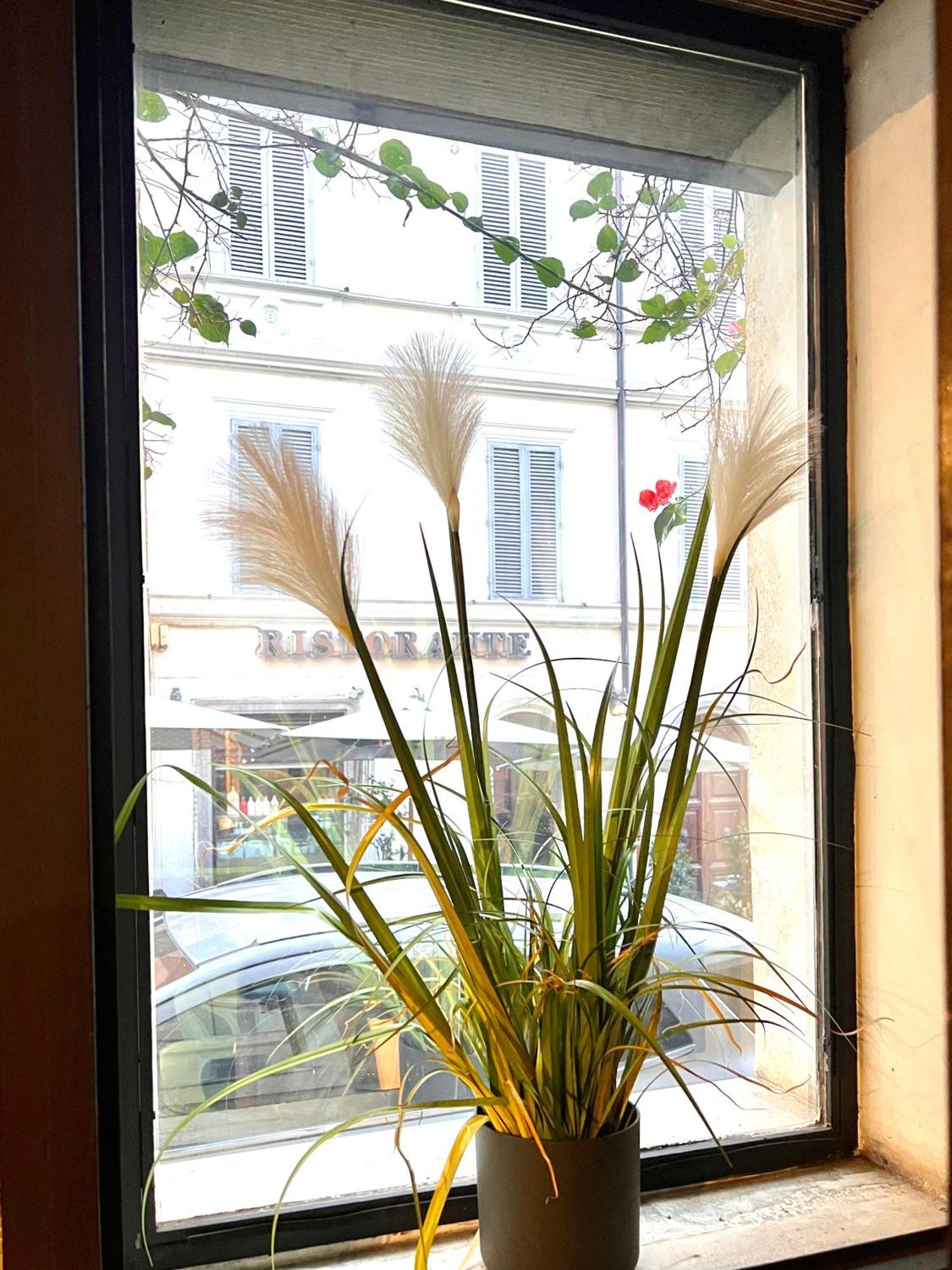 Romantic Wellness Apartment Colosseo エクステリア 写真